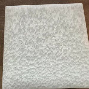 Pandora Bracelet